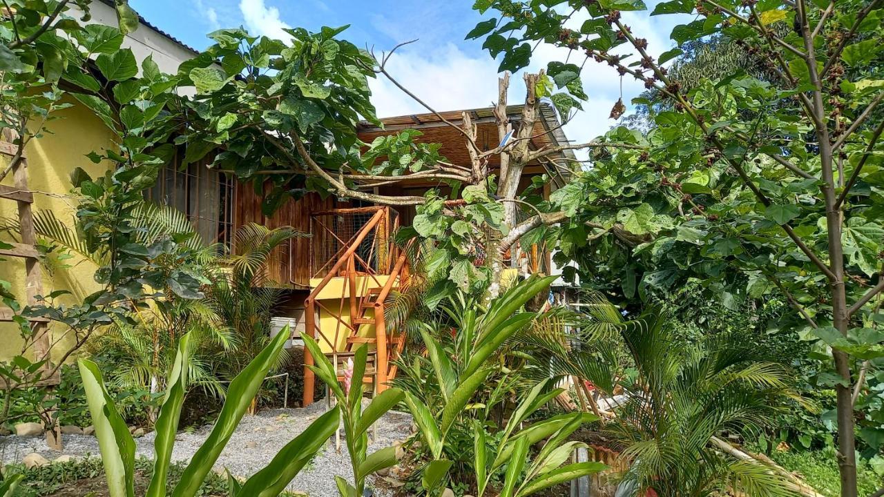 Cacao Lodge And Tours La Fortuna Exterior photo